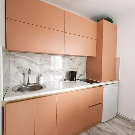 Apartment Garsoniera Miky Deva