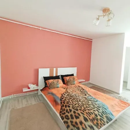 Apartment Garsoniera Miky *