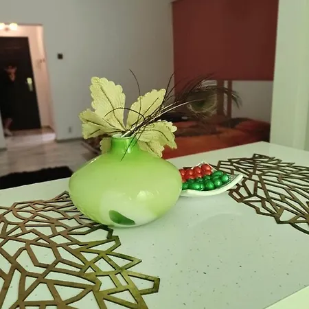 Garsoniera Miky Deva