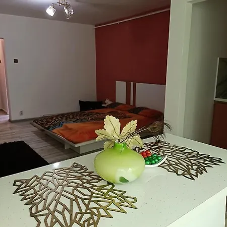 Apartment Garsoniera Miky